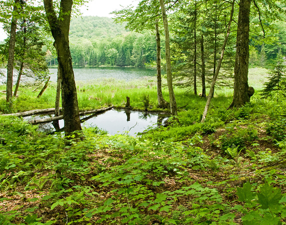 Vermont pond